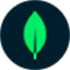 Voyage AI 官方Logo
